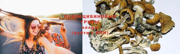соль ск Володарск