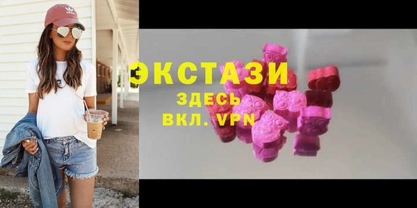 стаф Вязьма