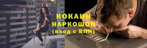 стаф Вязьма