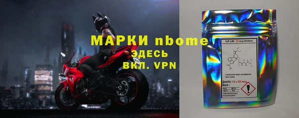 стаф Вязьма