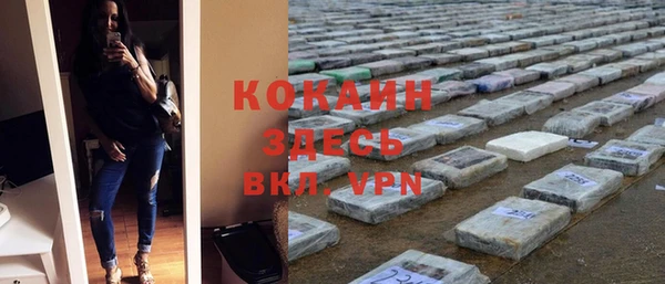 индика Верхний Тагил
