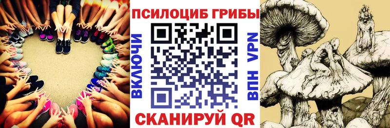Галлюциногенные грибы мицелий  площадка клад  Домодедово 